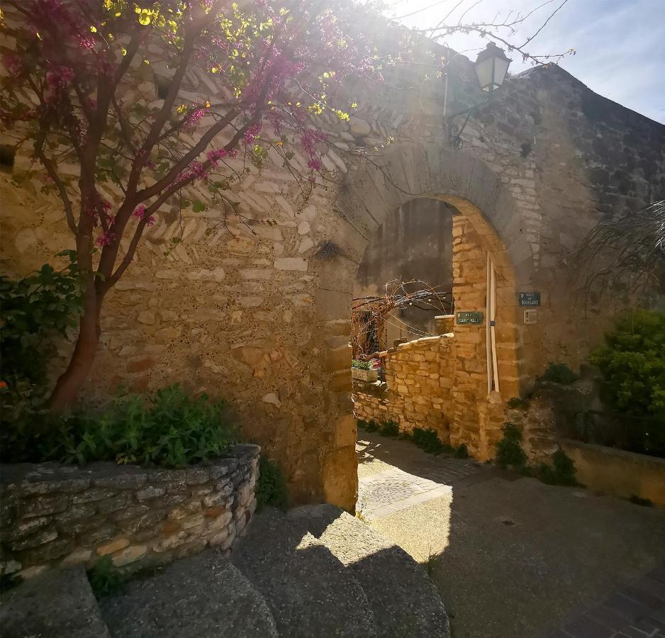 Le Petit Chateau Châteauneuf-de-Gadagne Екстериор снимка